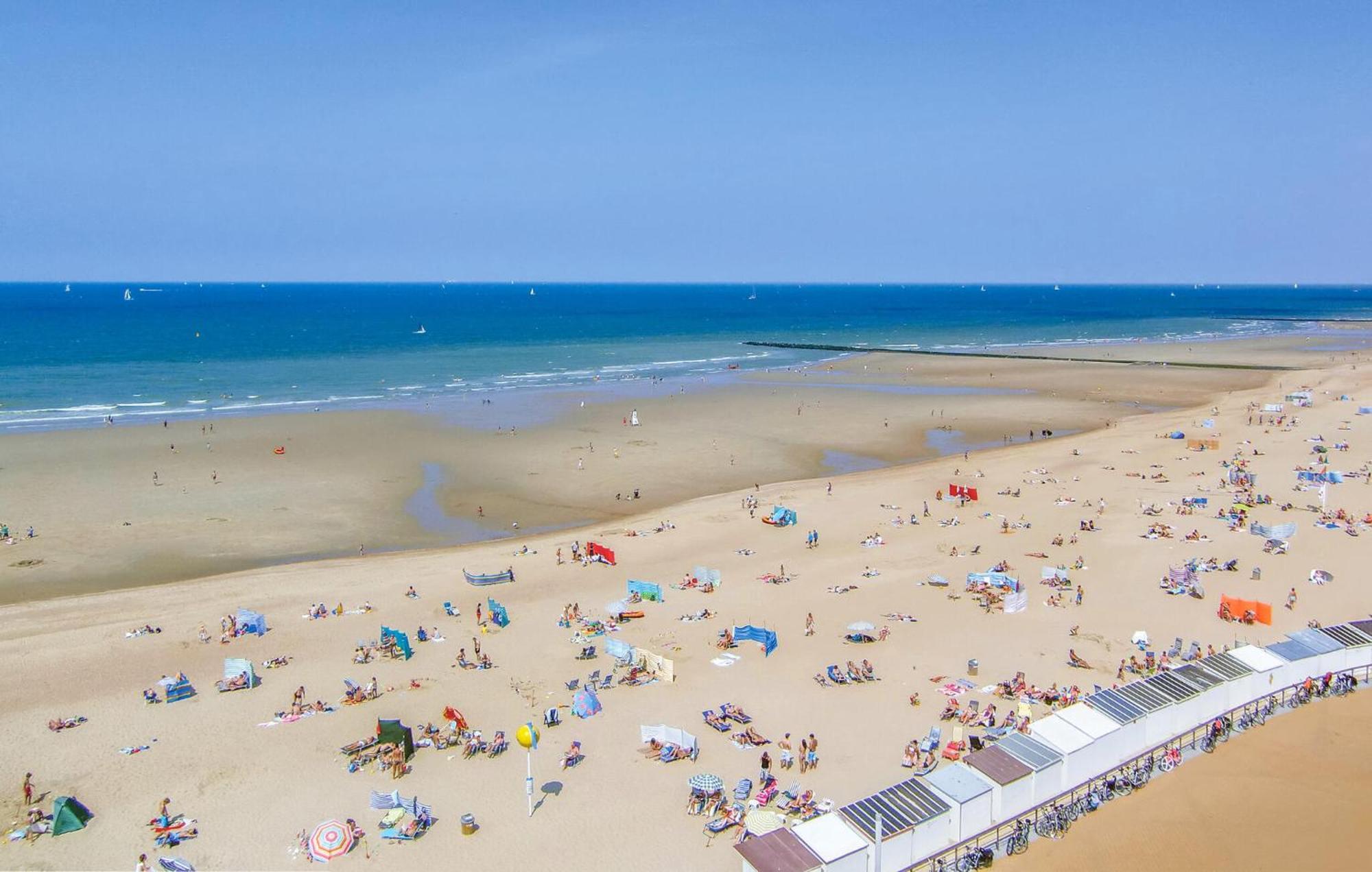 Cozy In Oostende